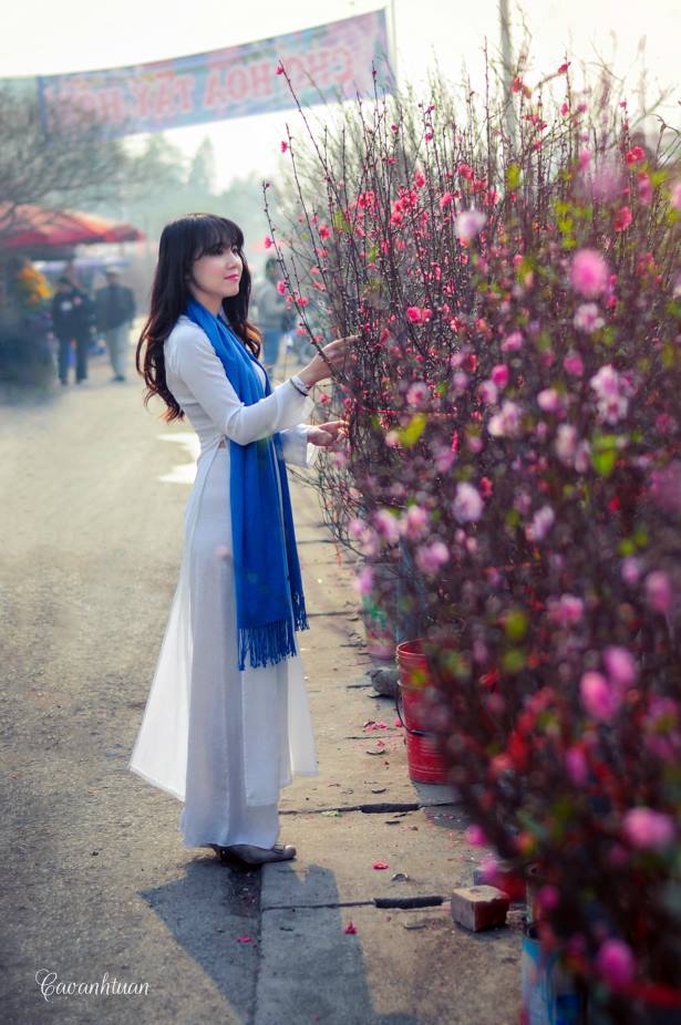 青青草手机视频